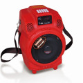 Haut-parleur rechargeable 6,5 &quot;Q6 (Q6)